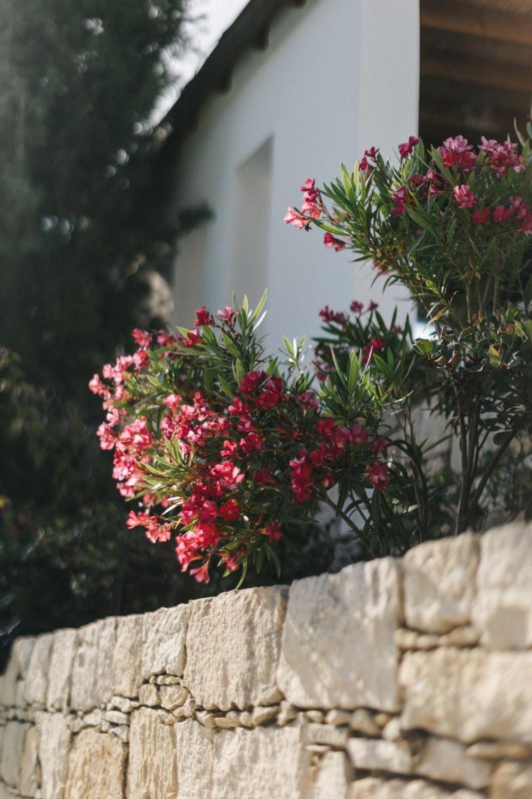 Гостьовий будинок Cecilias Courtyard Malia Екстер'єр фото